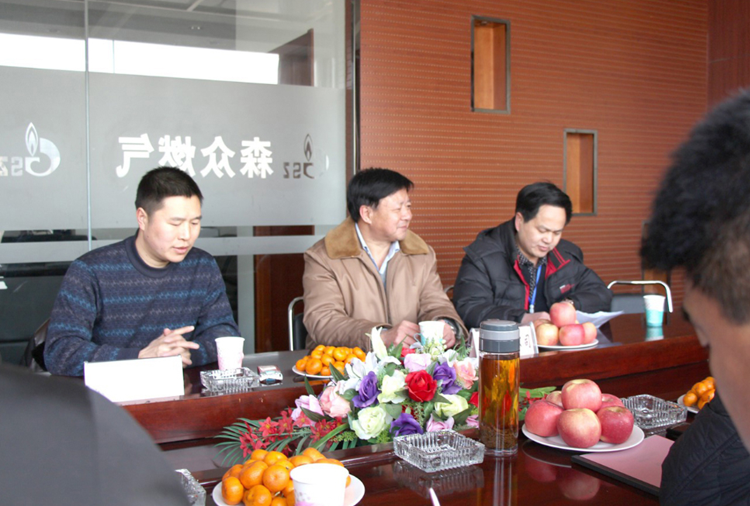 林口县政府与大连陈伟定制家居有限公司燃气项目洽谈.png